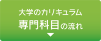 大学のカリキュラム／専門科目の流れ