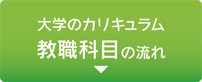 大学のカリキュラム／教職科目の流れ